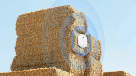 Bálák hőmérékletének ellenőrzése TS101 Lorawan szenzorral