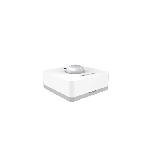 WS202 LoRaWAN® Mozgásérzékelő és Fényérzékelő 